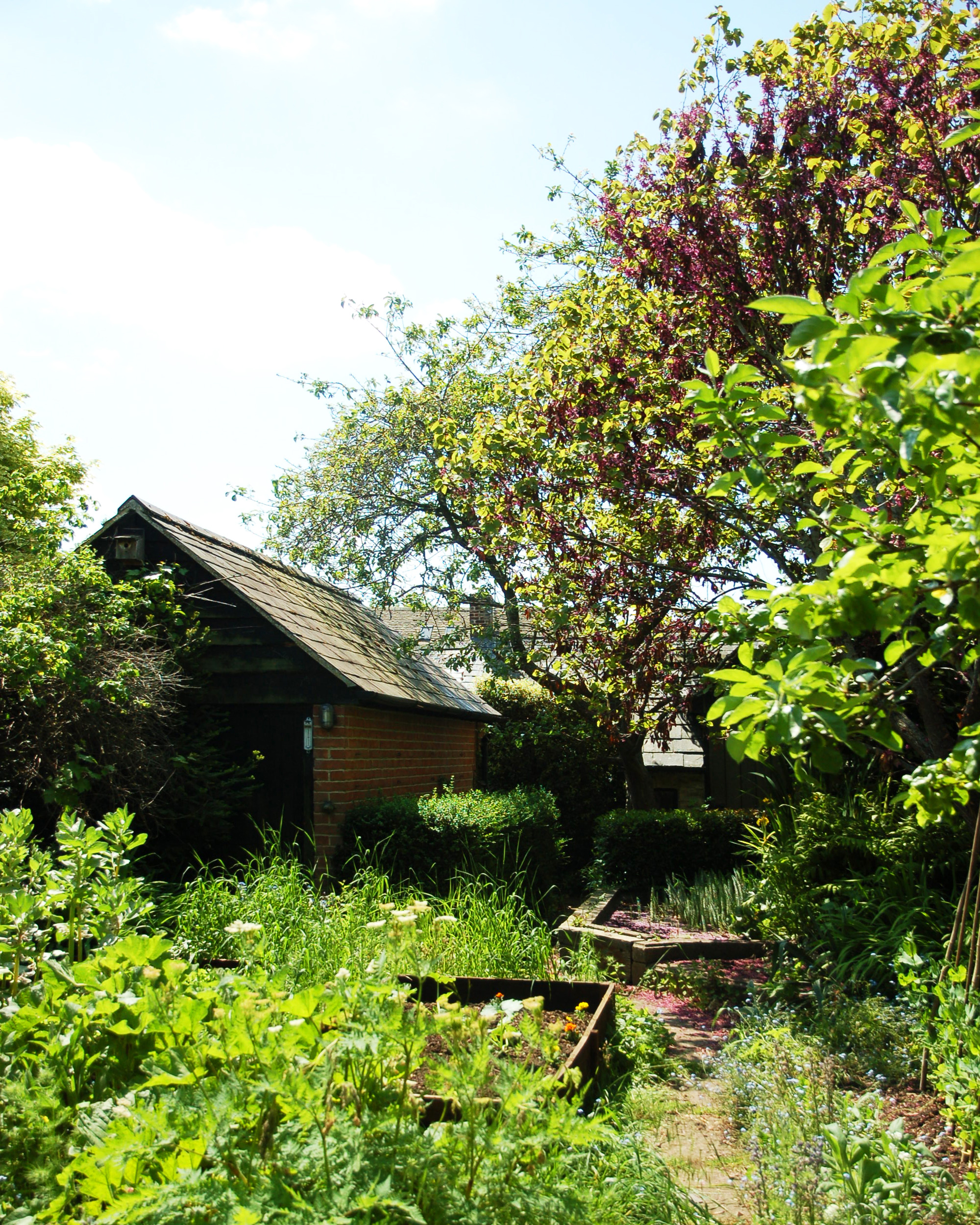 The Orchard_garden
