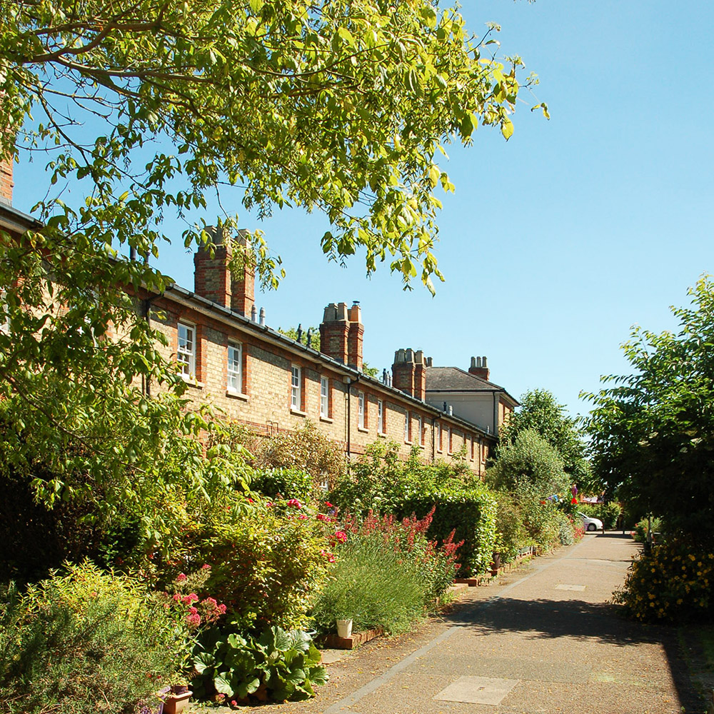 Terrace of yellow brick houses fronted by trees and hedges with blue sky above